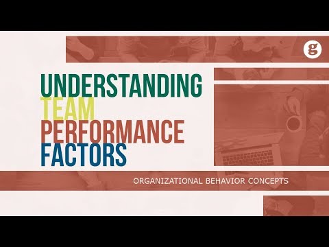 Understanding Team Performance Factors