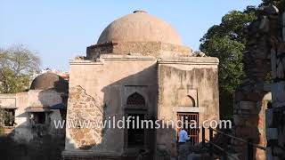 Hauz Khas Fort Complex - Mosque and Madrasa