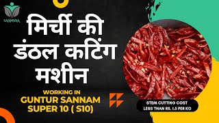 Best Automatic Red Dry Chilli Stem Cutting Machine 2023 | India | S10 chilli