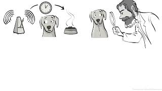 Classical Conditioning - Ivan Pavlov