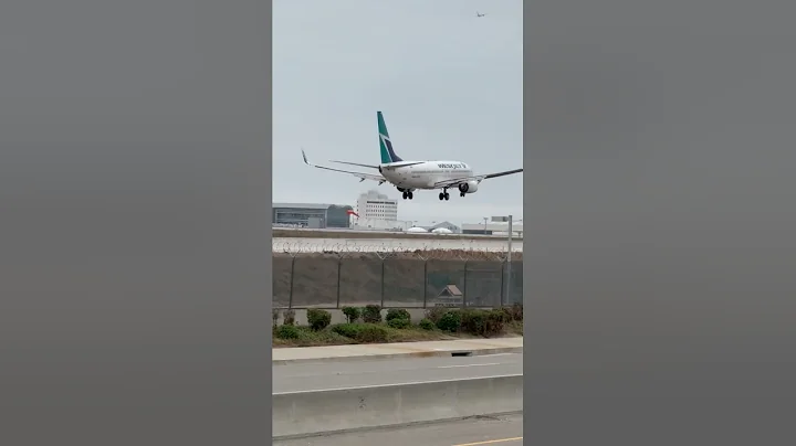 Westjet Boeing 737 Arriving at LAX From Calgary, AB, Canada! #westjet #boeing737 #planespotting