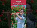 Morning Flute Music | Bansuridhun | Bird Sound With Nature | Instrumental #flute #flutemusic #shorts