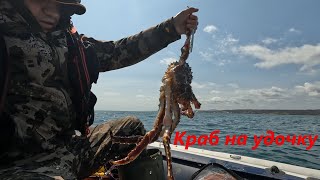 Ловили рыбу, а наловили краба в море на Сахалине