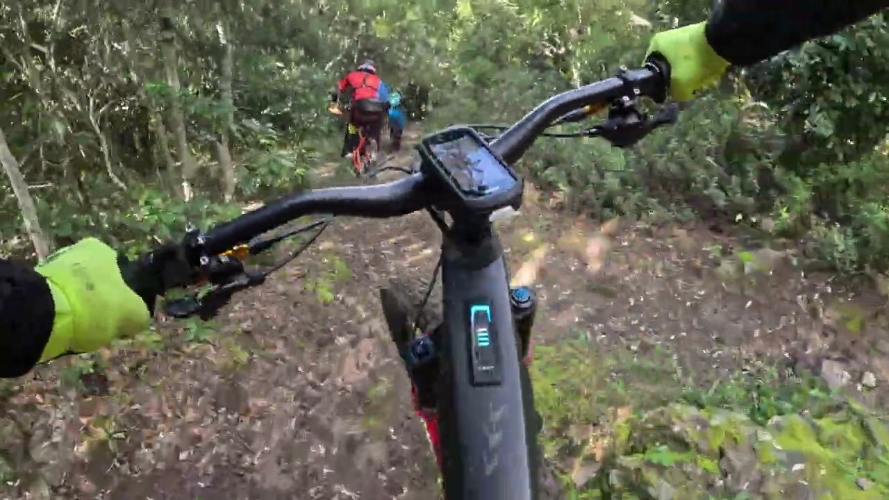 Voragini Troppo divertente