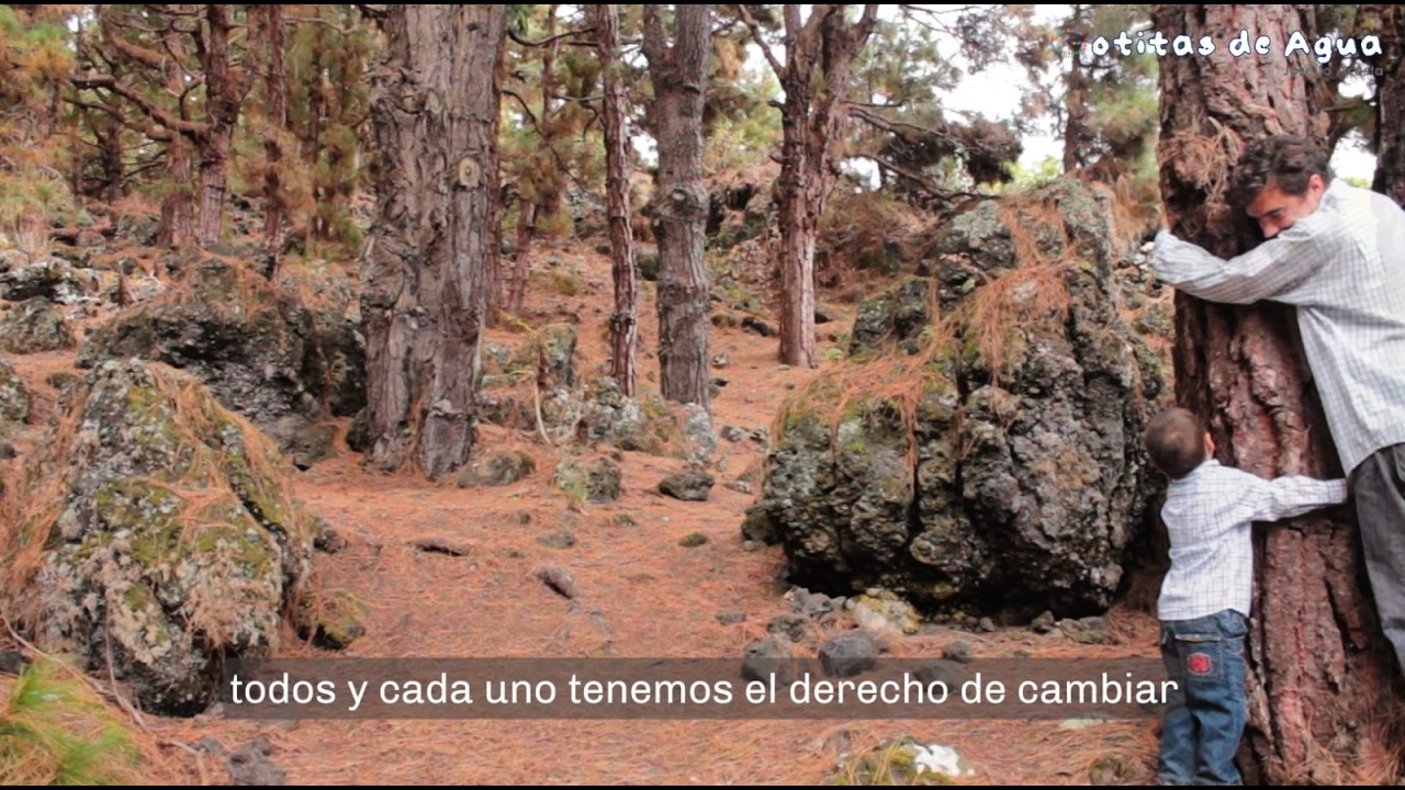 El Niño Interior - REFLEJOS DE GOTITAS - GOTITAS DE AGUA