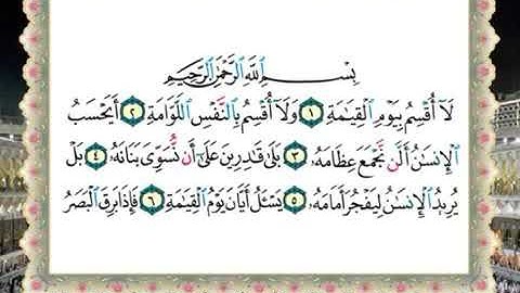 سورة القيامة لفضيلة الشيخ سالم عبده سالم