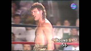 Alex Stewart vs Jamie Howe Wealth