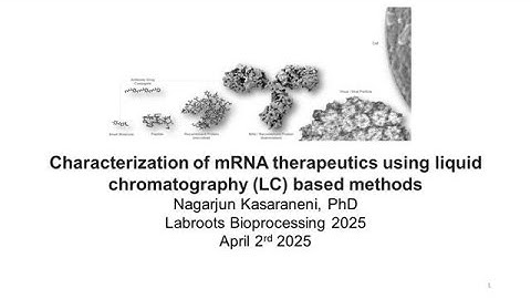 Characterization of mRNA Therapeutics Using Liquid Chromatography Based Methods