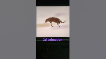 Exaggerated run cycle  #2danimation #animal #animation #anime #dog