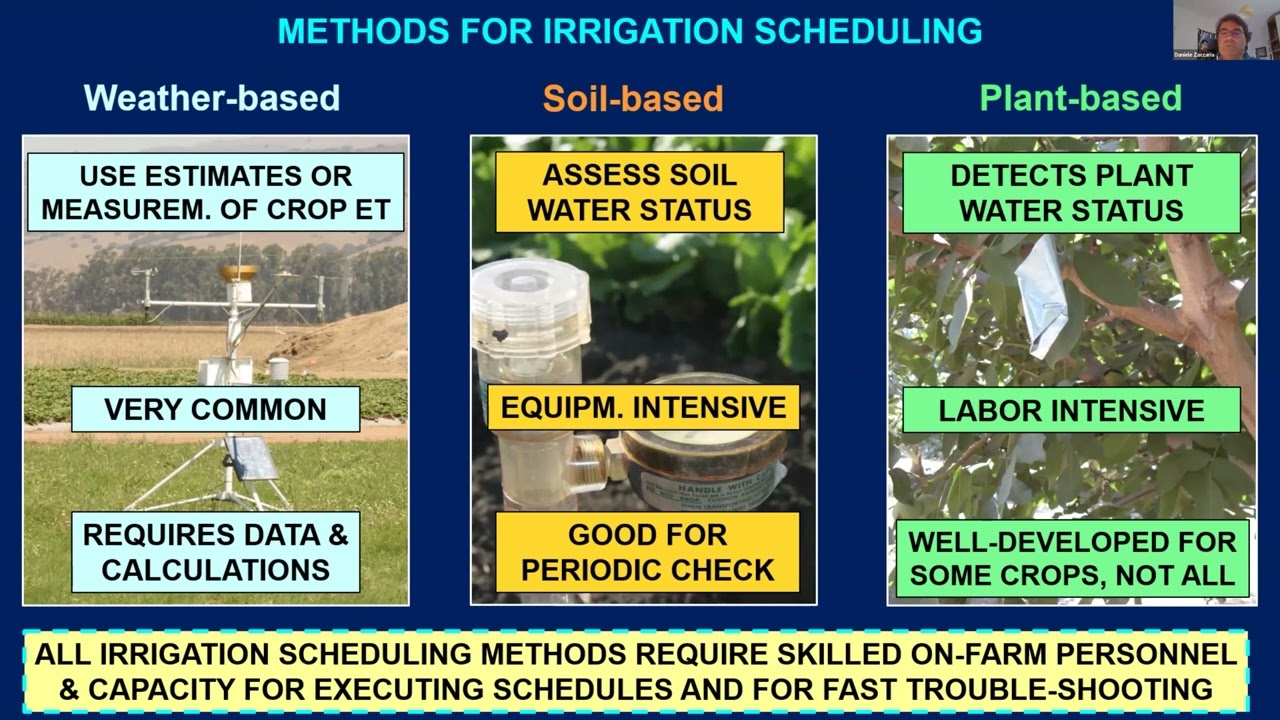 D. Zaccaria - Methods and tools for avocado irrigation scheduling