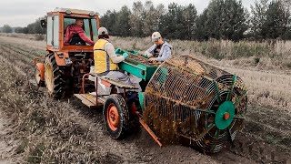 Harvesting potatoes with a potato harvester SAMRO SPEZIAL from the 60's