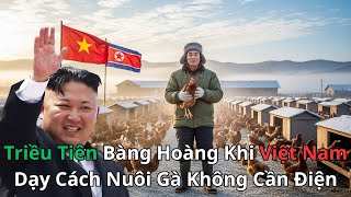 Triều Tiên Bàng Hoàng Khi Việt Nam Dạy Cách Nuôi Gà Không Cần Điện