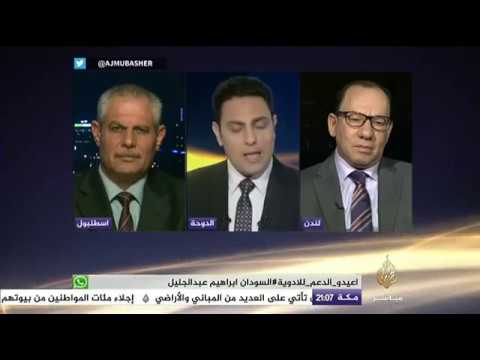 نافذة تفاعلية .. حقيقة التدخل العسكري المصري لدعم النظام السوري