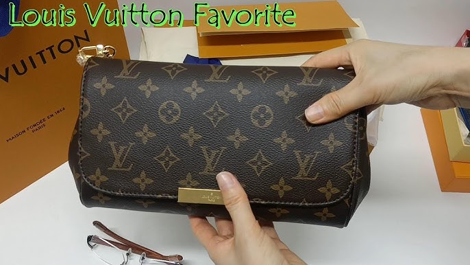 Louis Vuitton Camera Bag™️ // One of my favorite pieces from the