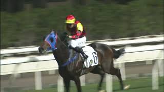 2021/22 (329) - King's Trooper (王者奇兵) - 馬雅 (評分有利跑出水準後上贏馬)