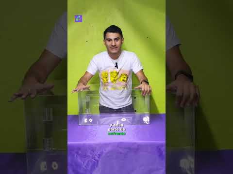 Terrario Acrílico