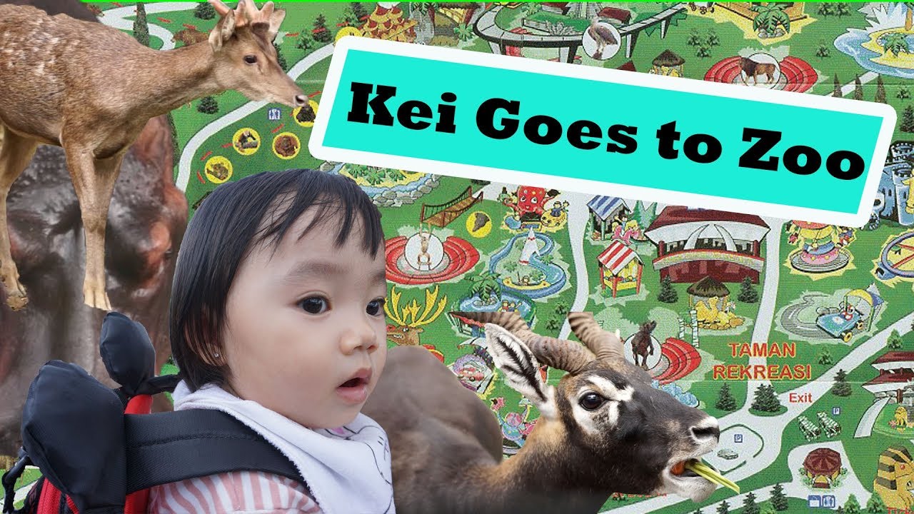 Kei Goes To Taman Safari Prigen Jawa Timur
