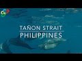 Taon strait  biodiversity management bureau