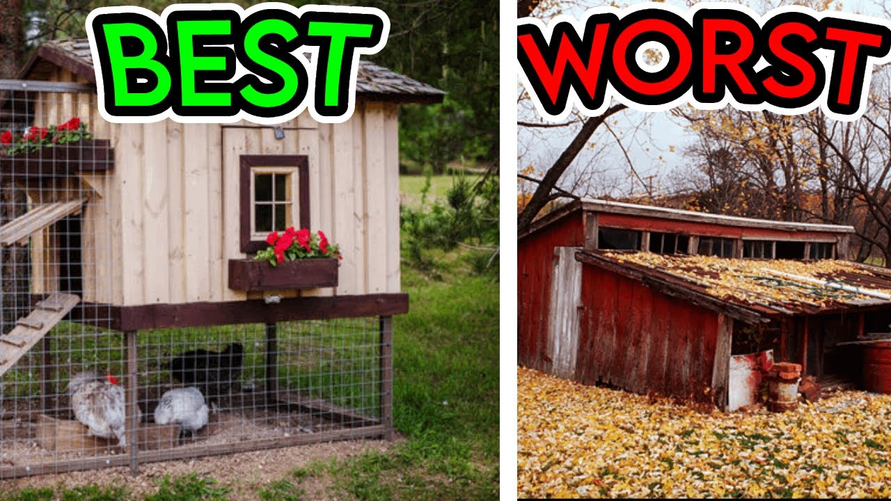 The Best Vs Worst Chicken Coops... YouTube