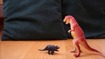 A bad day for Mr T rex