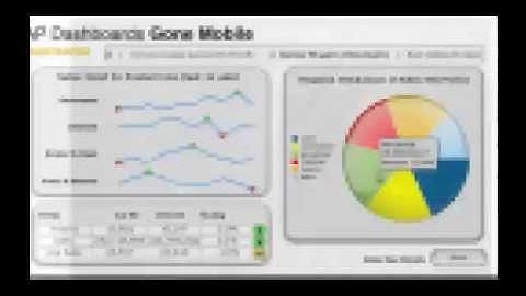 SAP Crystal Dashboard Design - Demo video