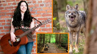 Craziest Animal Attacks That Will Shock You Part 2