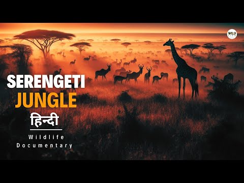 Serengeti Jungle, Africa - हिन्दी डॉक्यूमेंट्री | Wild animals documentary in Hindi