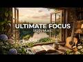 Acoustic Guitar Deep Study Music 🎸 Relaxing Focus for Work