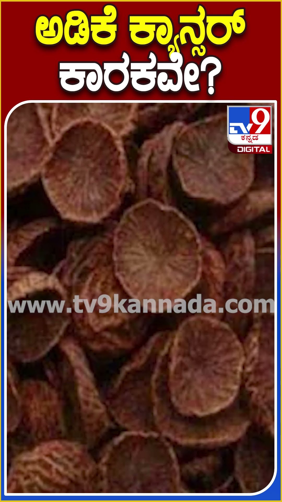 ಅಡಿಕೆ ಕ್ಯಾನ್ಸರ್ ಕಾರಕವೇ? #Areca TV9D