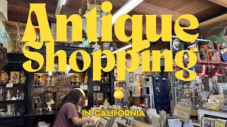 You Never Know What You'll Find at This Antique Shop! 👀