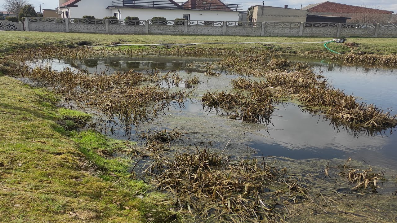 Czyszczenie stawu po ponad 10 latach, pierwsze zarybienie, Vlog 1