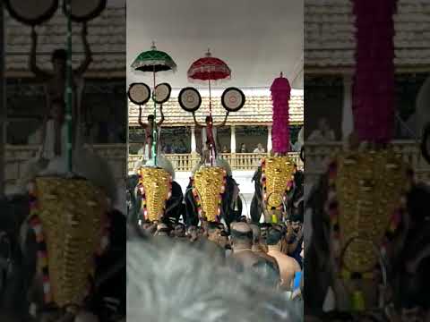 പൂർണ്ണത്രയീശന്റെ തൃക്കേട്ടപ്പുറപ്പാടിനു തിടമ്പേറ്റി മംഗലാംകുന്ന് അയ്യപ്പൻ❤️❤️