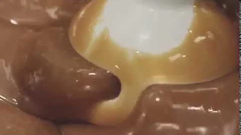 Lavonne - RECIPE FOR SOFT CARAMEL (Salted)
