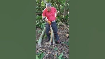 Splitting Long Logs