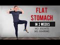 Flat stomach in 2 weeks40 min standing abs workoutno squatno jumpingabdominales de pie