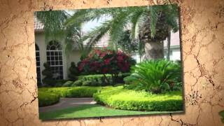 Natural Touch Lawn Maintenance - Lawn Services near Miami, FL 33187