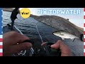 🇺🇸 겨울 스트라이페드 배스 탑워터 낚시ㅣCalifornia Winter Topwater Striper Fishing