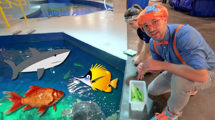 Blippi Visits The Aquarium | Educational Fish and Animals for Kids and Toddlers - DayDayNews
