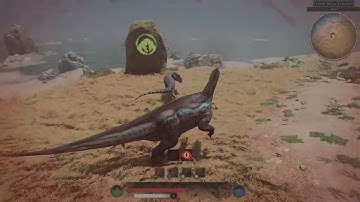 Iggy vs Allo and Dasp