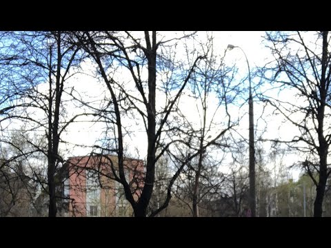 Видео: Шинэ Москва