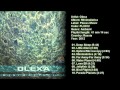 Olexa - Minimalistica (Plexus Music 2012)