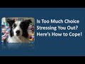 Is Too Much Choice Stressing You Out? Here’s How to Cope with Choice Overload!