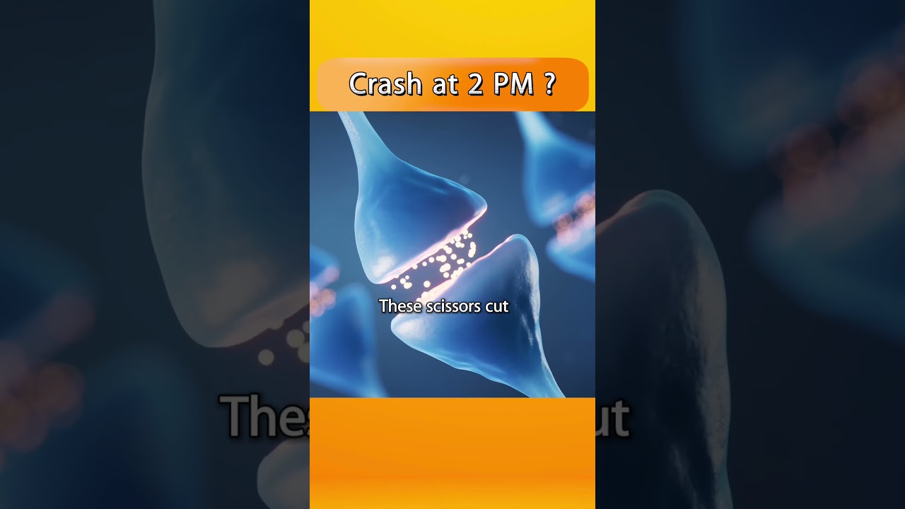 Crash at 2 PM?  This is what you should know.