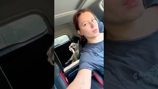 В поход с собакой на автомобиле ! #поход #собака
