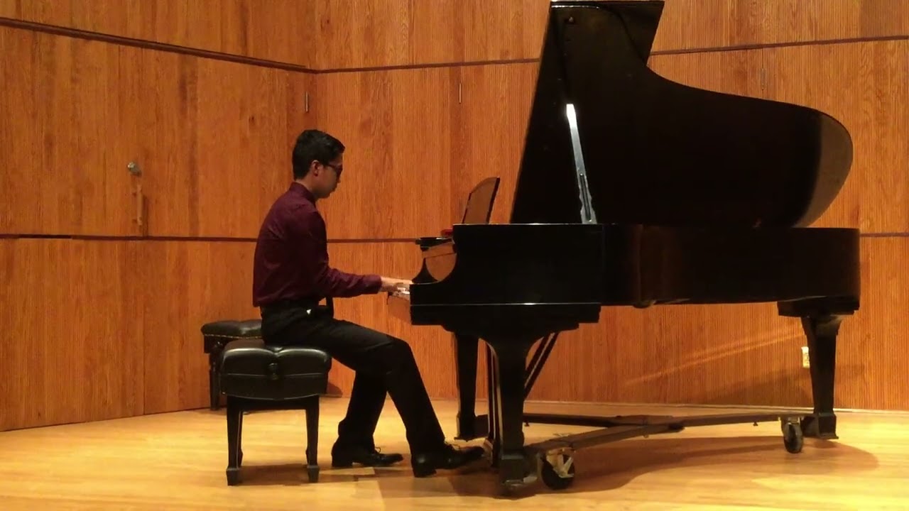 Amateur plays Maple Leaf Rag (Live)
