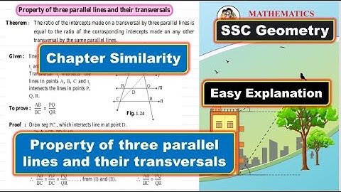 Property of three parallel lines and their transversals | Chapter 1 Similarity | SSC Geometry
