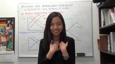 Mini video: Exchange rate determinants in the long run