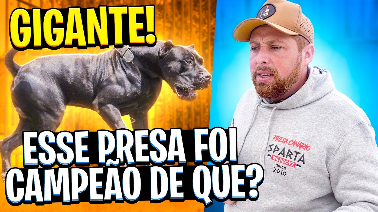 UM DOS MELHORES PRESAS DA EUROPA