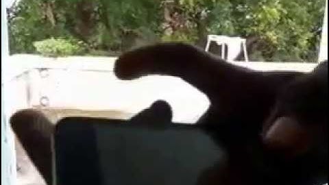 How to take screenshot in Micromax Canvas Spark Q380 in few seconds