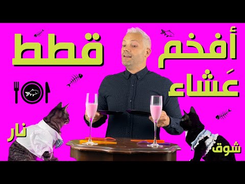 أسرار القطط - نار عزم شوق عالعشاء - على حسابي 🙄 NAAR invites SHOW to dinner PETS LIFE
